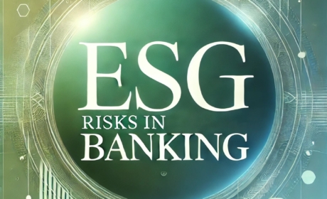 Navigating ESG Risks: A Holistic Approach for Financial Institutions